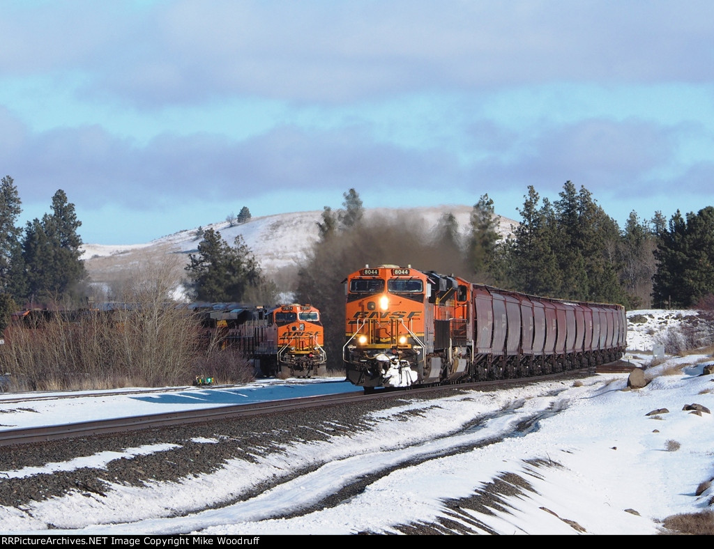 BNSF 8044